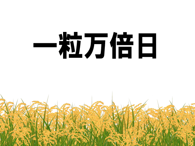 【一粒万倍日】2025年一粒万倍日の一覧、巳年に万倍無限の金運大成長！？